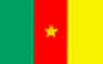 cameroon Online phone number